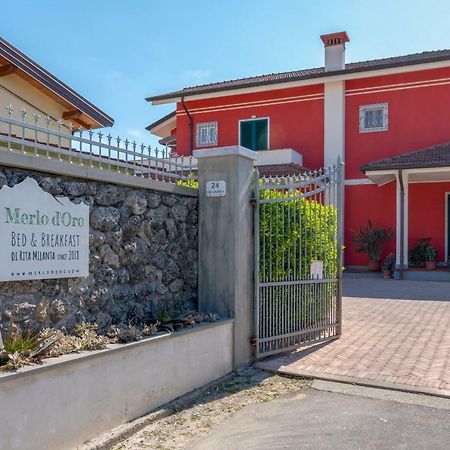 Merlo D'Oro Carrara Exteriér fotografie