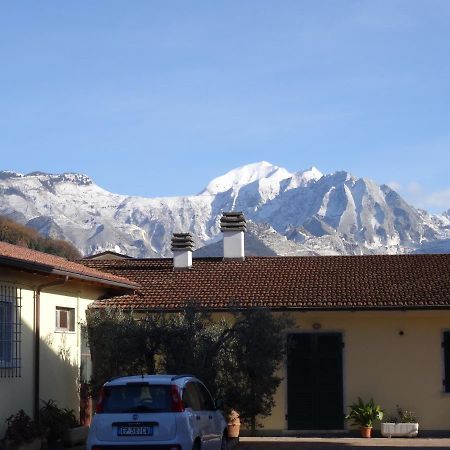 Merlo D'Oro Carrara Exteriér fotografie