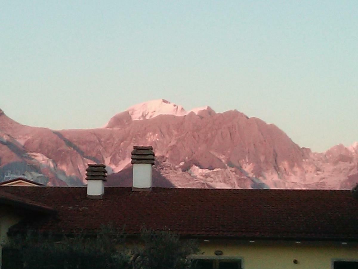 Merlo D'Oro Carrara Exteriér fotografie