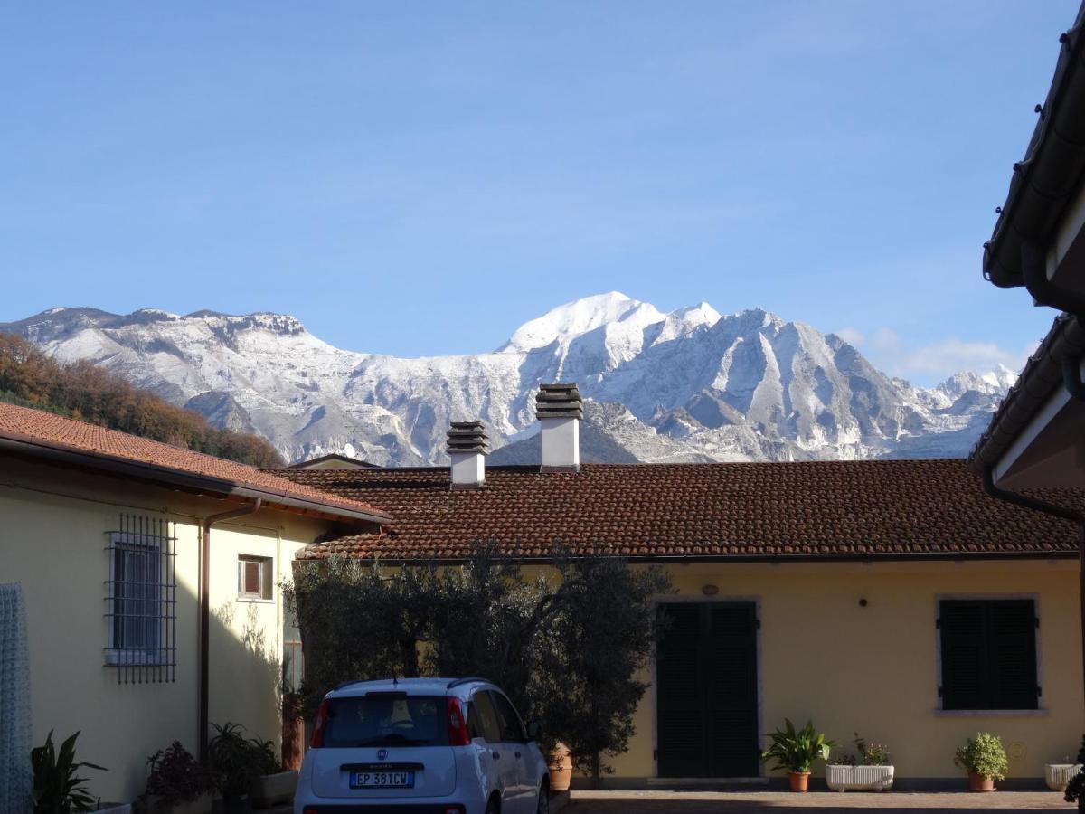 Merlo D'Oro Carrara Exteriér fotografie